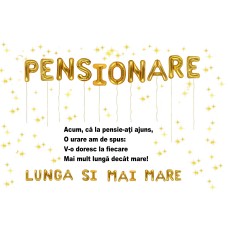 PensiaC2A5 vafa pensionare 20x15cm